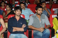 Uyyala Jampala Movie Audio Launch